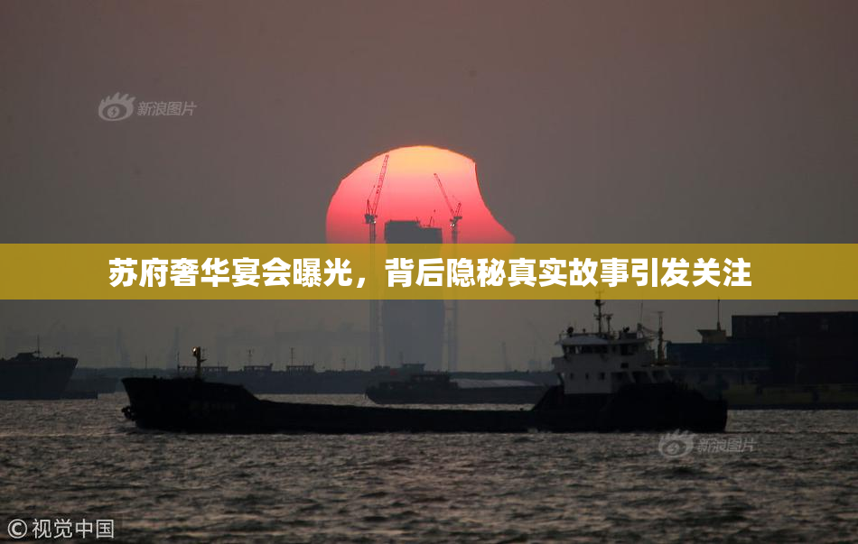 苏府奢华宴会曝光，背后隐秘真实故事引发关注