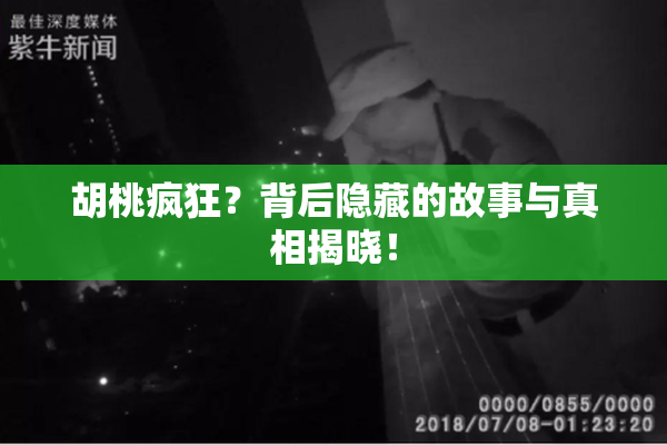 胡桃疯狂？背后隐藏的故事与真相揭晓！