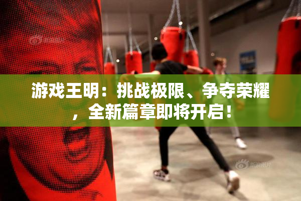 游戏王明：挑战极限、争夺荣耀，全新篇章即将开启！