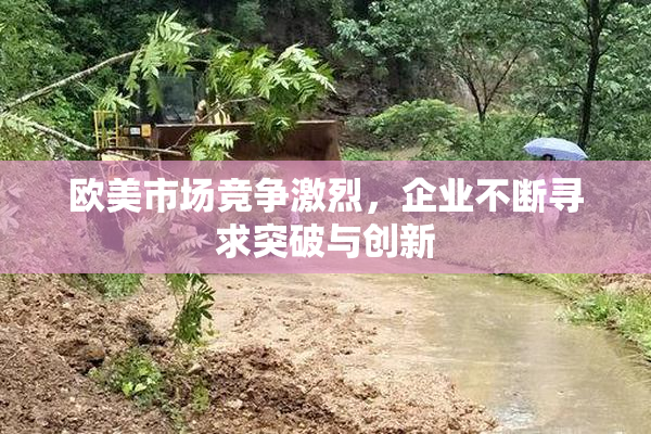 欧美市场竞争激烈，企业不断寻求突破与创新