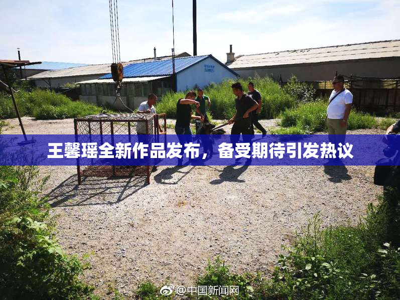 王馨瑶全新作品发布，备受期待引发热议