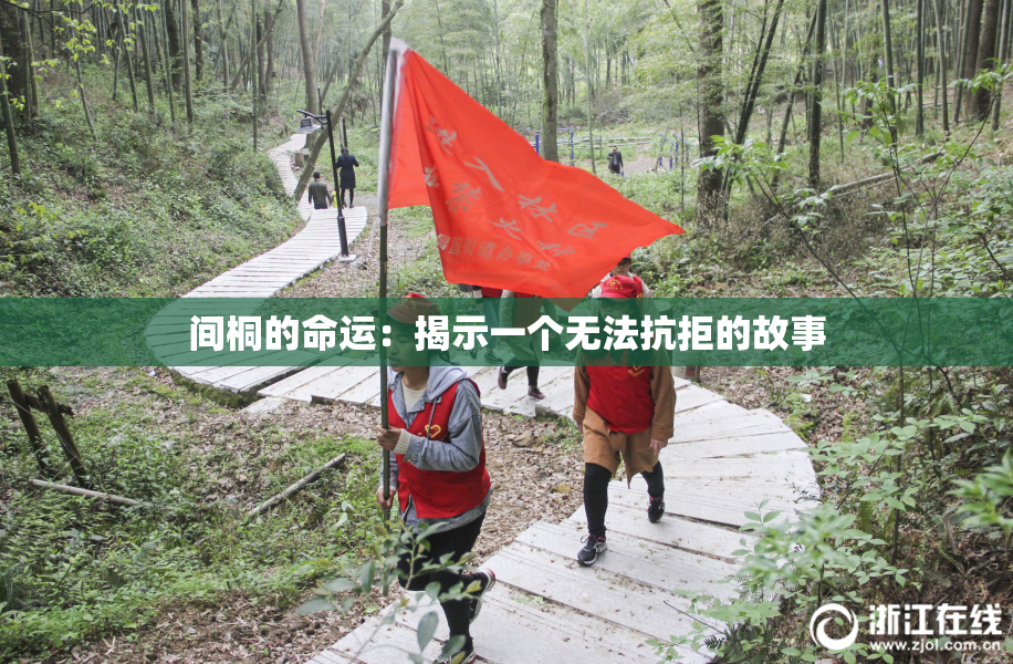 间桐的命运：揭示一个无法抗拒的故事