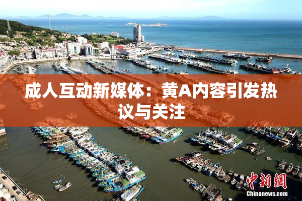 成人互动新媒体：黄A内容引发热议与关注