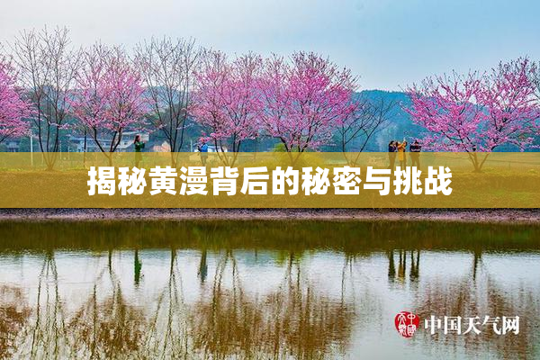揭秘黄漫背后的秘密与挑战
