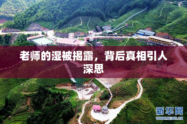 老师的湿被揭露，背后真相引人深思