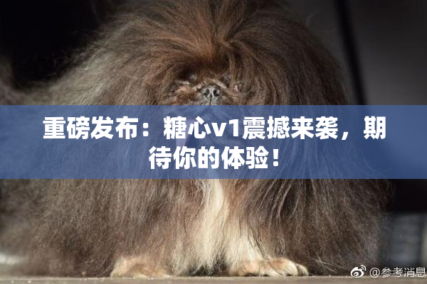 重磅发布：糖心v1震撼来袭，期待你的体验！