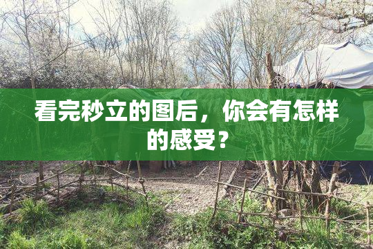 看完秒立的图后，你会有怎样的感受？