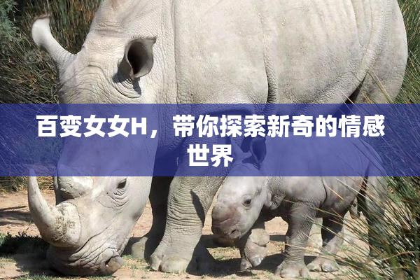 百变女女H，带你探索新奇的情感世界
