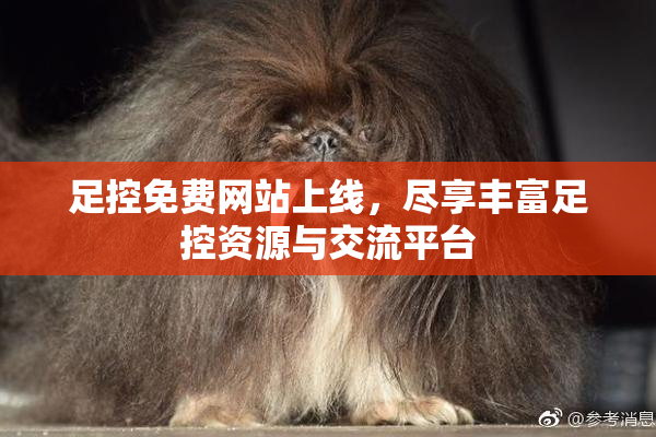 足控免费网站上线，尽享丰富足控资源与交流平台
