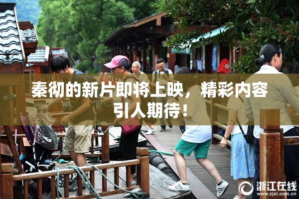 秦彻的新片即将上映，精彩内容引人期待！