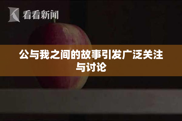 公与我之间的故事引发广泛关注与讨论