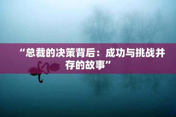 “总裁的决策背后：成功与挑战并存的故事”