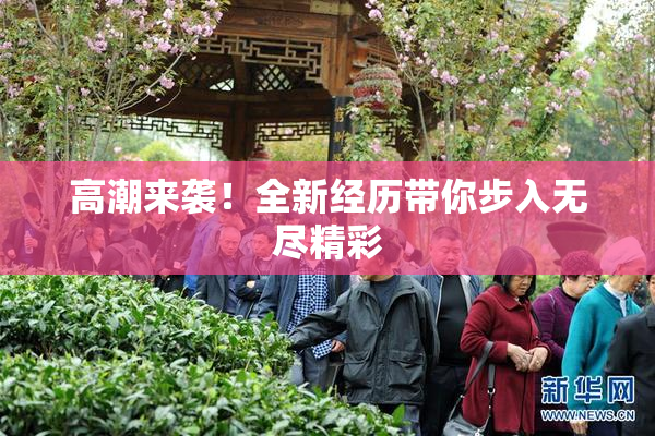 高潮来袭！全新经历带你步入无尽精彩