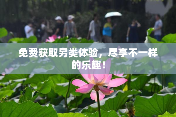 免费获取另类体验，尽享不一样的乐趣！