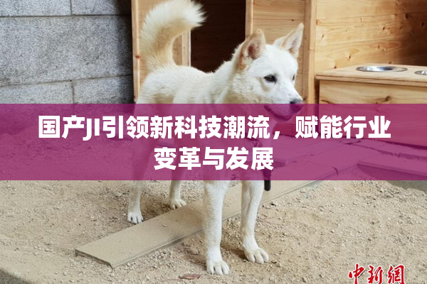 国产JI引领新科技潮流，赋能行业变革与发展