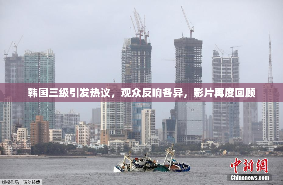 韩国三级引发热议，观众反响各异，影片再度回顾
