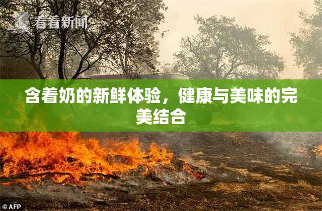 含着奶的新鲜体验，健康与美味的完美结合