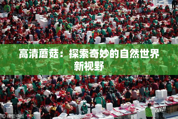 高清蘑菇：探索奇妙的自然世界新视野
