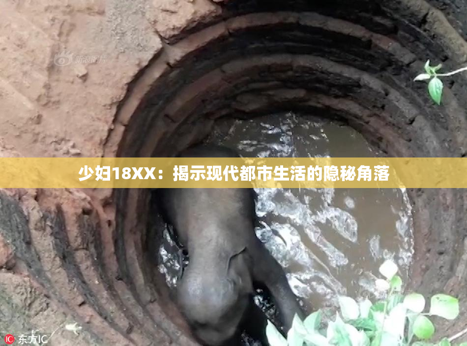 少妇18XX：揭示现代都市生活的隐秘角落