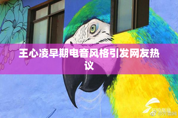 王心凌早期电音风格引发网友热议