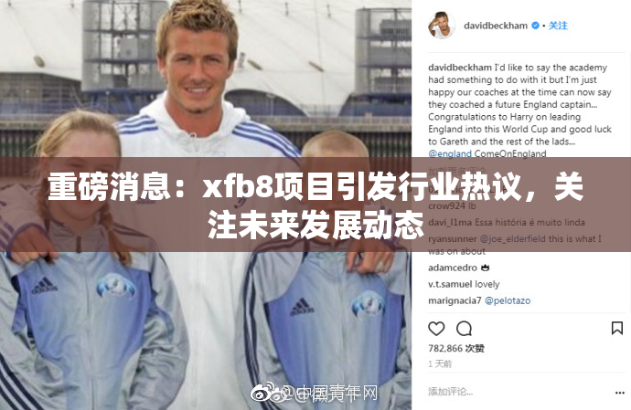 重磅消息：xfb8项目引发行业热议，关注未来发展动态