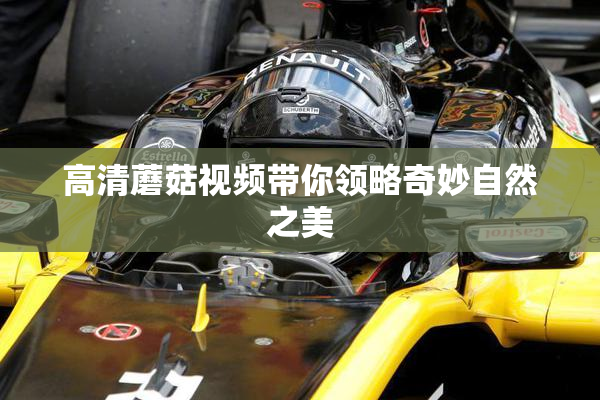 高清蘑菇视频带你领略奇妙自然之美