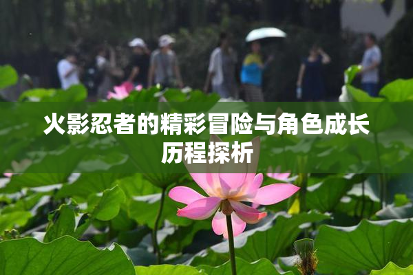 火影忍者的精彩冒险与角色成长历程探析