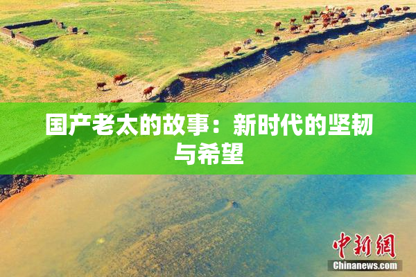国产老太的故事：新时代的坚韧与希望