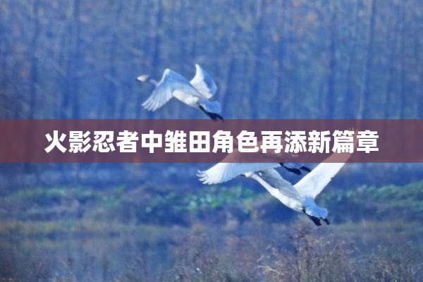 火影忍者中雏田角色再添新篇章