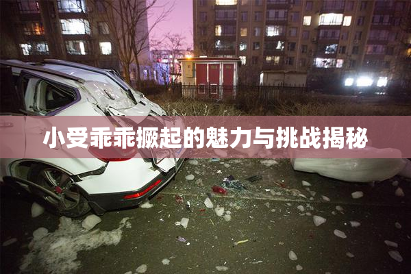 小受乖乖撅起的魅力与挑战揭秘