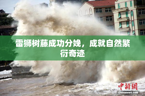 雷狮树藤成功分娩，成就自然繁衍奇迹