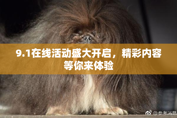 9.1在线活动盛大开启，精彩内容等你来体验