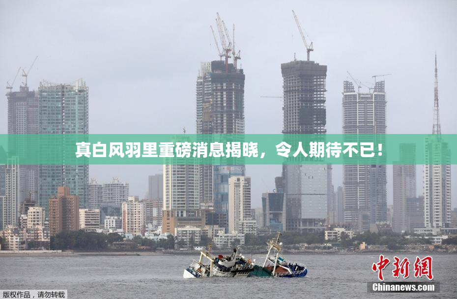 真白风羽里重磅消息揭晓，令人期待不已！