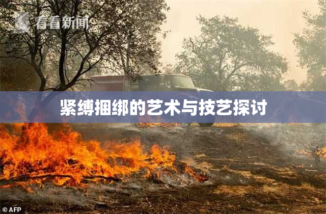紧缚捆绑的艺术与技艺探讨