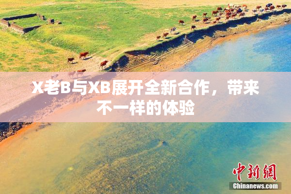 X老B与XB展开全新合作，带来不一样的体验