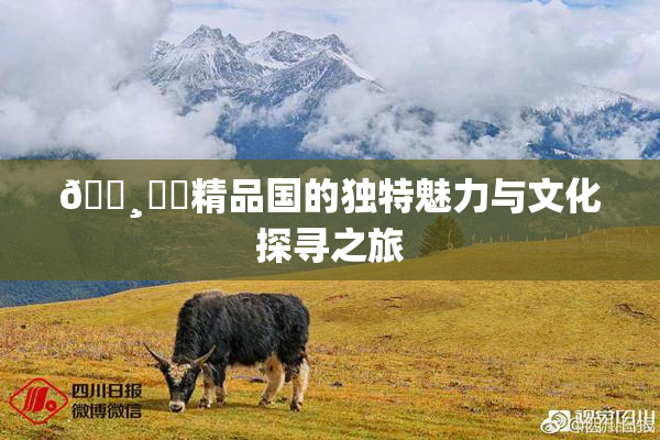 🌸‌✿精品国的独特魅力与文化探寻之旅