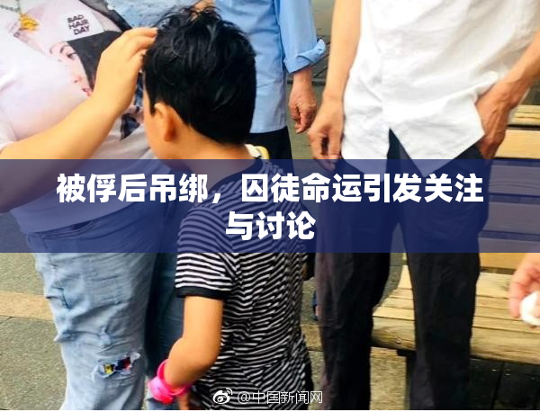 被俘后吊绑，囚徒命运引发关注与讨论