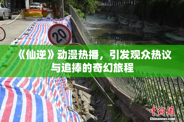 《仙逆》动漫热播，引发观众热议与追捧的奇幻旅程
