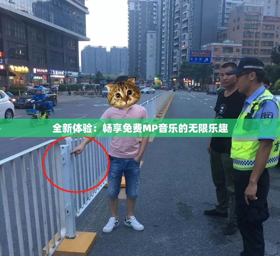 全新体验：畅享免费MP音乐的无限乐趣