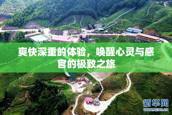 爽快深重的体验，唤醒心灵与感官的极致之旅