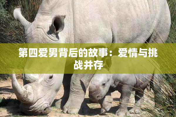 第四爱男背后的故事：爱情与挑战并存