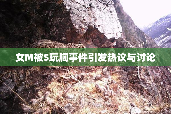 女M被S玩胸事件引发热议与讨论