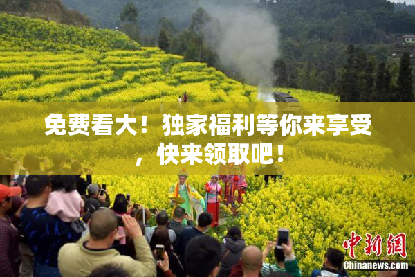 免费看大！独家福利等你来享受，快来领取吧！
