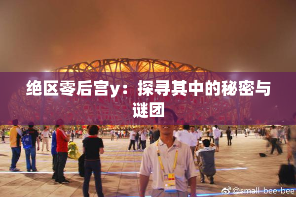 绝区零后宫y：探寻其中的秘密与谜团