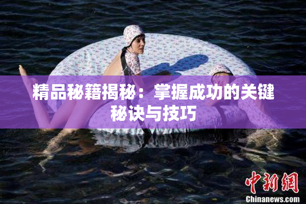 精品秘籍揭秘：掌握成功的关键秘诀与技巧