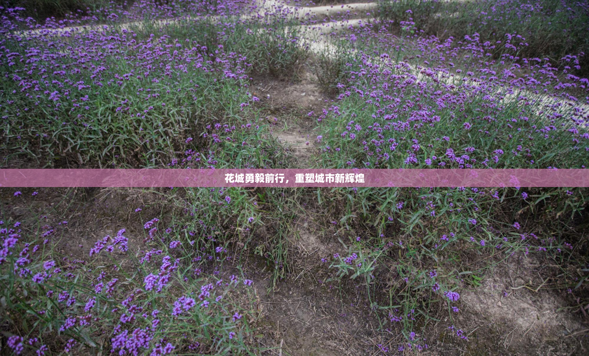 花城勇毅前行，重塑城市新辉煌