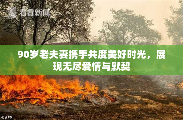 90岁老夫妻携手共度美好时光，展现无尽爱情与默契