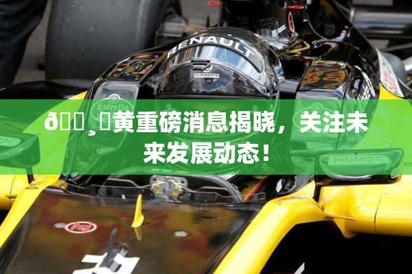 🌸‌黄重磅消息揭晓，关注未来发展动态！