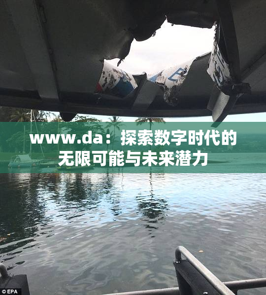 www.da：探索数字时代的无限可能与未来潜力