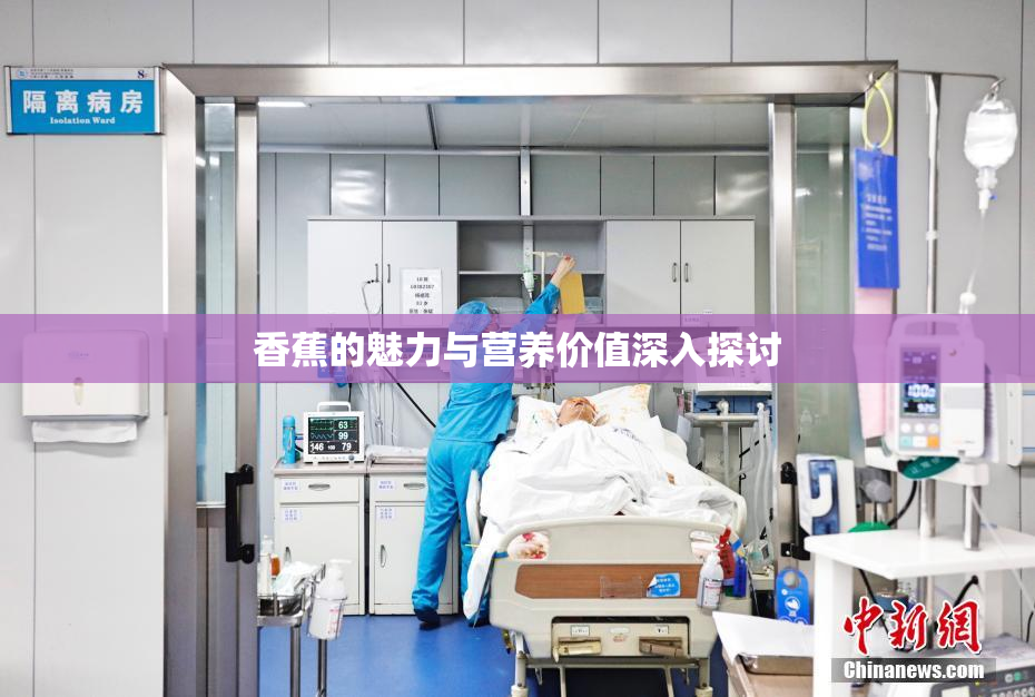 香蕉的魅力与营养价值深入探讨